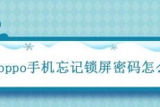 忘记苹果手机锁屏密码，如何解锁？（解锁苹果手机屏幕密码的有效方法和步骤）