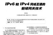 解决IPv4和IPv6无网络访问权限问题的方法（如何解决无法上网的IPv4和IPv6连接问题）