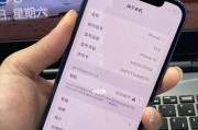 如何鉴别iPhone的真伪（掌握iPhone真伪鉴别方法，避免购买假货上当受骗）