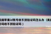 解决iPhone无法接收验证码短信的问题（针对iPhone无法收到验证码短信的情况进行处理）