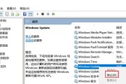 禁用Windows10自动更新的方法（解放你的电脑，摆脱繁琐的自动更新）