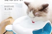 如何正确清洁狗饮水机（简单易行的方法让你的宠物始终饮用干净的水源）