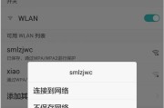 解决无法上网的WiFi连接问题（探索连上WiFi却无法上网的原因及解决方法）