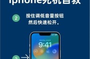 iPhone死机了处理方法（解决iPhone死机问题的有效方法）