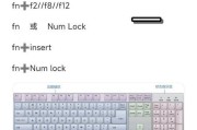 键盘锁住了打不了字怎么解锁？常见解锁方法有哪些？