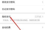 微信指纹支付功能设置详解（简单方便的指纹支付）