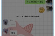 微信拍一拍怎么使用视频（制作动态照片的技巧）