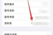 如何通过iPhone序列号查询手机真伪（利用序列号轻松辨别iPhone的真实性）