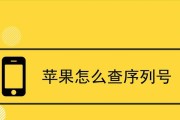 如何通过序列号查询iPhone手机真伪（用轻松验证iPhone手机的真实性）