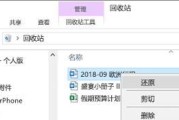 电脑回收站文件恢复方法大揭秘（教你轻松找回被误删的重要文件）