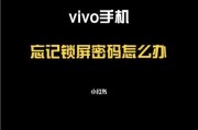 Vivo手机密码忘记了怎么办？（忘记密码时的解决方法及步骤）