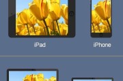 苹果iPad各个型号的优缺点剖析（了解苹果iPad的不同型号）