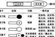 表面活性剂的一般作用及应用领域（探索表面活性剂在各个行业中的广泛应用与效果）