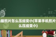 如何压缩图片大小（简单有效的方法教你减小图片文件体积）