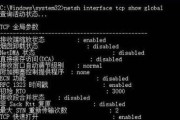 台式电脑网速慢怎么解决（五个方法教你提升电脑网速）