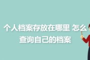 高考个人档案查询系统——了解学生高考成绩的便捷工具（高考成绩查询系统的功能与使用方法）