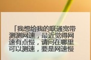 网速慢的原因分析及解决方法（深入探究网速缓慢的根源）