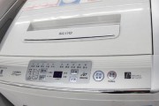 三洋洗衣机显示一一故障（如何应对和解决三洋洗衣机显示一一故障问题）