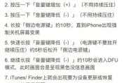 如何正确进入iPhoneX的DFU模式（简单操作让您轻松进入DFU模式）