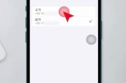 如何解决iPhone卡顿无法打电话的问题？（解决iPhone卡顿问题的有效方法）