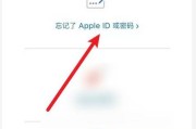 保护隐私，iPhone手机应用加密码的有效方法（使用密码锁保护个人信息安全）