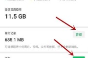 iPhone内存占用全面解析（优化内存管理，提升iPhone性能）