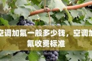 以空调加氟收费标准——保障服务质量与消费者权益（了解空调加氟收费标准的重要性与合理性）