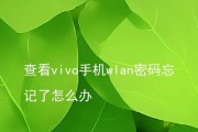 vivo手机忘记锁屏密码怎么办（忘记锁屏密码？别担心）