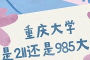 解读985和211（理解985和211的）