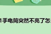 解决苹果手电筒不亮问题的方法（找回苹果手机手电筒功能的有效技巧）