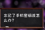 忘记手机锁屏密码，如何解决？（手机密码遗忘急需解决，教你找回密码的方法）