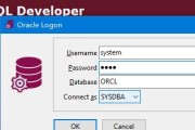 Oracle数据库连接指南（简单易懂的Oracle数据库连接教程）