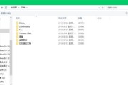 Win10系统下电脑文件加密的方法（保护个人隐私信息）