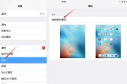 玩转iPad（掌握iPad截屏和录像的简便方法，让您的记录更加精彩）