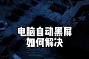 抖音在电脑上黑屏是什么原因？解决方法有哪些？