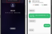 手机通话中无声音问题的原因与解决方法（排查手机通话问题和解决方法的实用指南）