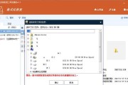 如何恢复格式化的U盘数据文件（教你恢复误操作导致的丢失数据）