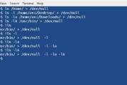 Linux中ls命令的用法（掌握ls命令）
