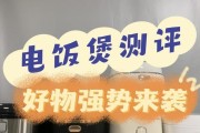 电饭煲安全孔漏气怎么修（解决电饭煲安全孔漏气问题的有效方法）