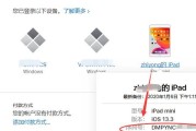 查询iPad序列号的步骤（快速准确获取iPad序列号的方法）