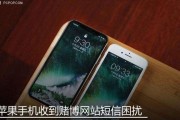 iPhone垃圾短信清理大揭秘（一招搞定垃圾短信骚扰，再见烦恼！）