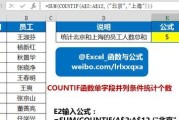 如何利用COUNTIF函数进行数据统计（掌握COUNTIF函数的用法）