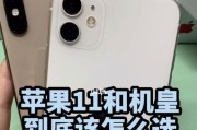 揭秘iPhone11强制关机方法（一招操作iPhone11，轻松强制关机）