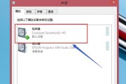 笔记本电脑声音突然消失的原因与解决方法（解决笔记本电脑无声问题）