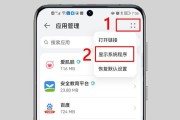 华为手机隐藏应用功能的详细使用教程（轻松保护个人隐私定制手机使用体验）