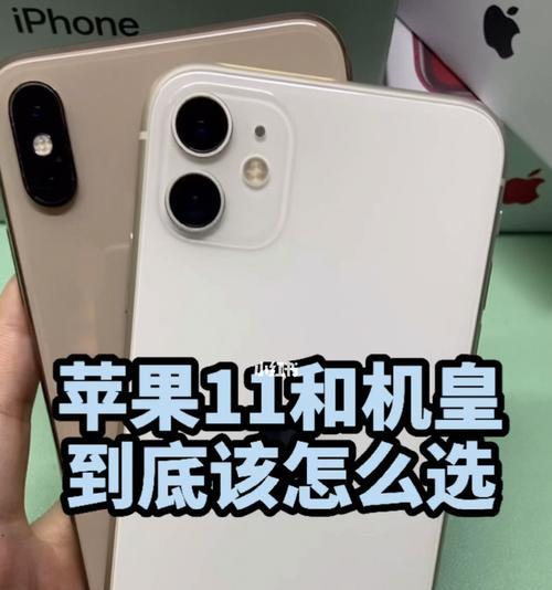 揭秘iPhone11强制关机方法（一招操作iPhone11，轻松强制关机）