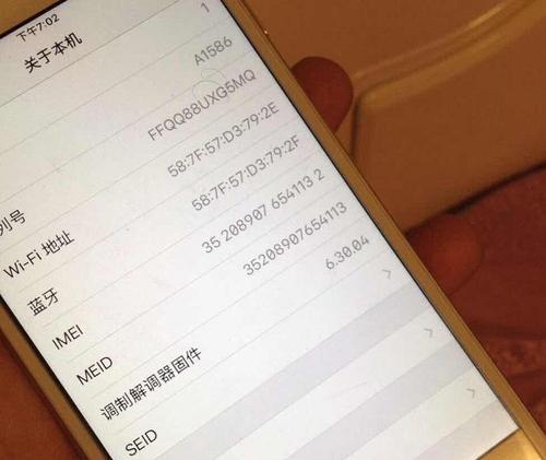 如何通过苹果手机序列号查询手机信息（掌握，轻松获取苹果手机的详细信息）