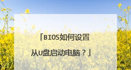 如何设置U盘启动进入BIOS（详细教程带你轻松操作）