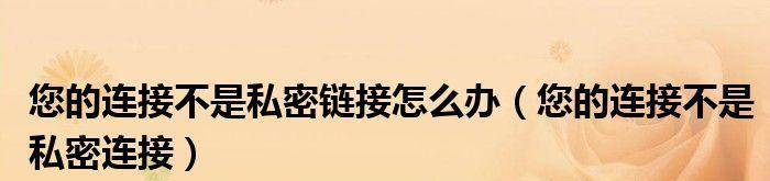 解决网站显示您的连接不是私密连接的方法（保障网络安全，有效解决非私密连接问题）