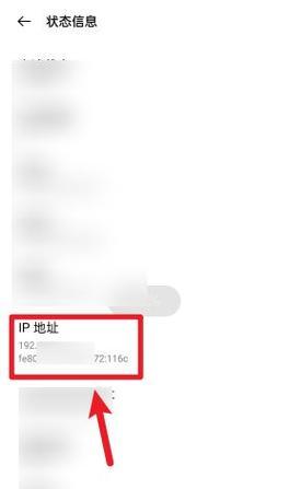 IP地址查询（从IP地址追溯真实身份，保护网络安全）